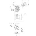 Cylindre / Piston complet