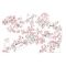 Bouchon d'huile G2500 Zenoah - 8510362173-eclatee-pieces-complet-zenoah-tronconneuse-g2500.jpg
